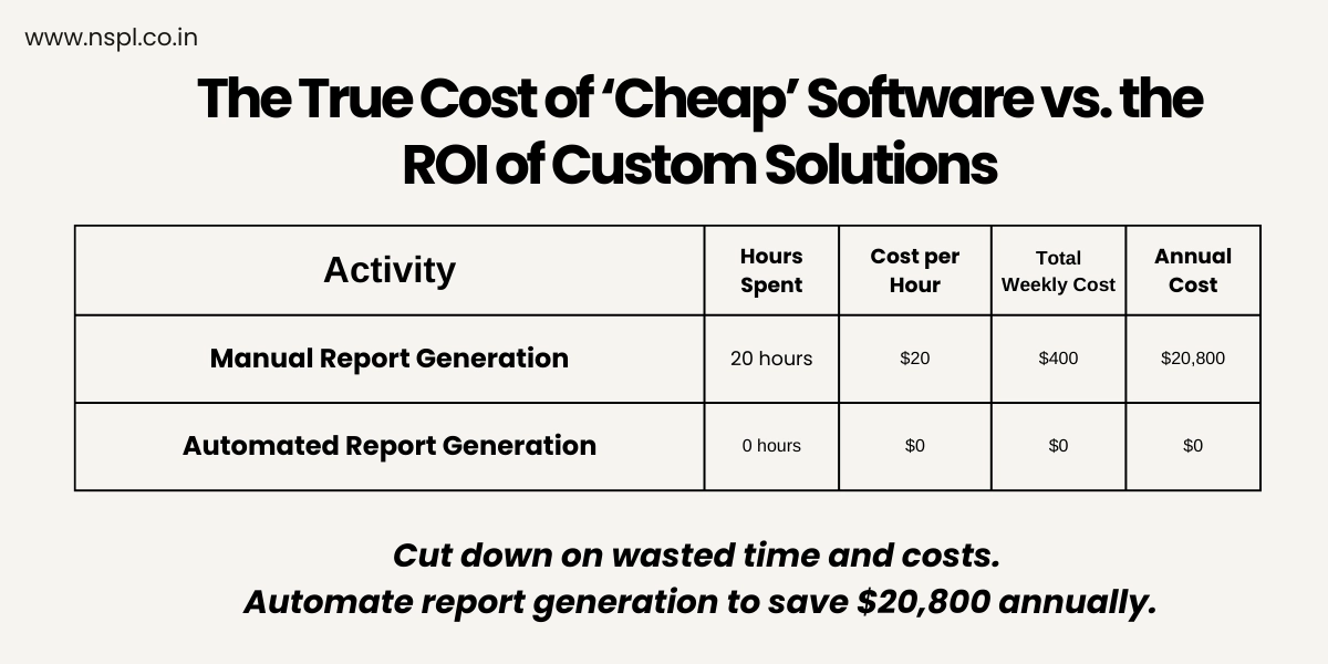 How Custom Software Pays for Itself